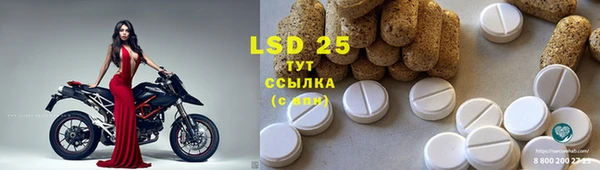 дживик Семилуки
