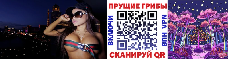 Псилоцибиновые грибы мицелий  Кедровый 